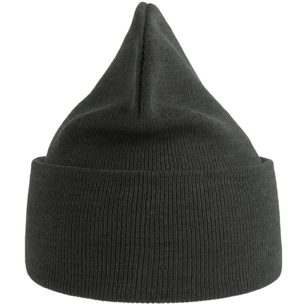 Atlantis Unisex Adult Pure Recycled Beanie