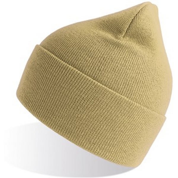 Atlantis Unisex Adult Pure Recycled Beanie