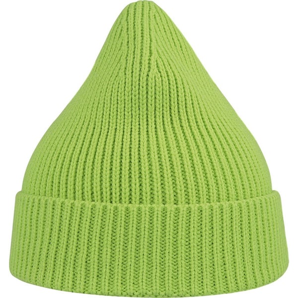 Atlantis Unisex Adult Andy Recycled Polyester Beanie