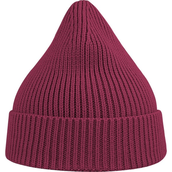 Atlantis Unisex Adult Andy Recycled Polyester Beanie
