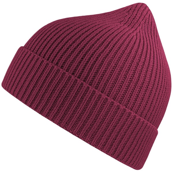 Atlantis Unisex Adult Andy Recycled Polyester Beanie