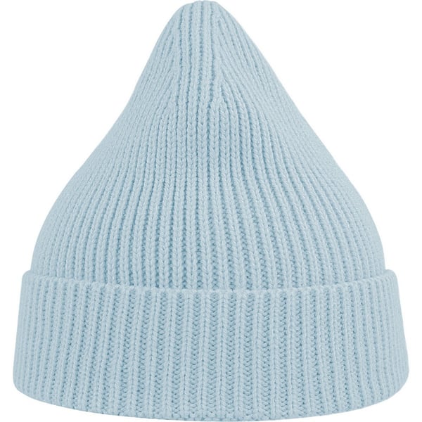 Atlantis Unisex Adult Andy Recycled Polyester Beanie