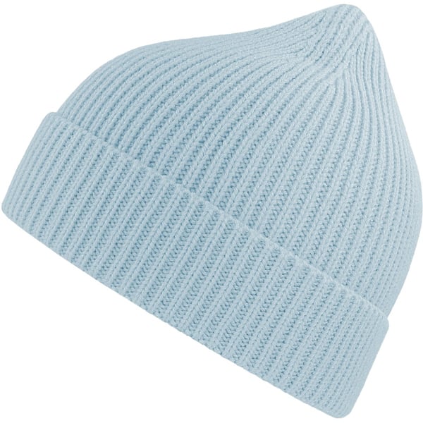 Atlantis Unisex Adult Andy Recycled Polyester Beanie