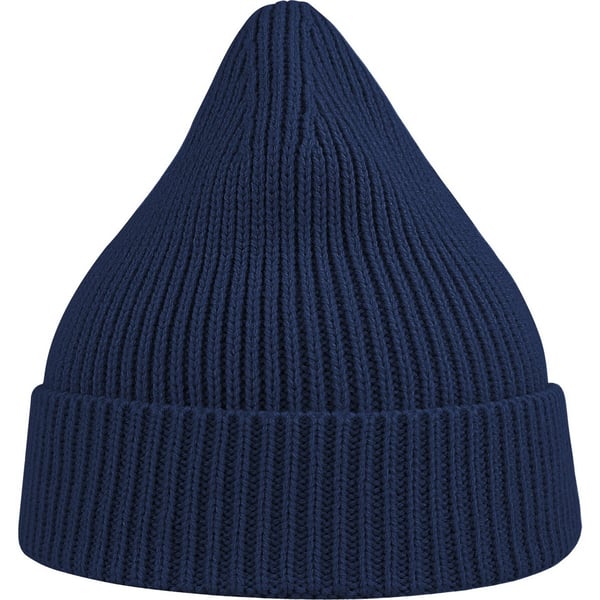 Atlantis Unisex Adult Andy Recycled Polyester Beanie