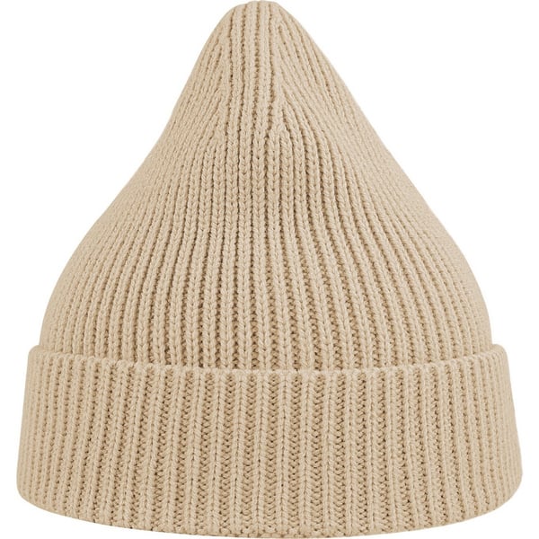 Atlantis Unisex Adult Andy Recycled Polyester Beanie