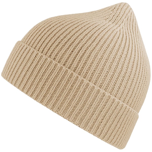 Atlantis Unisex Adult Andy Recycled Polyester Beanie