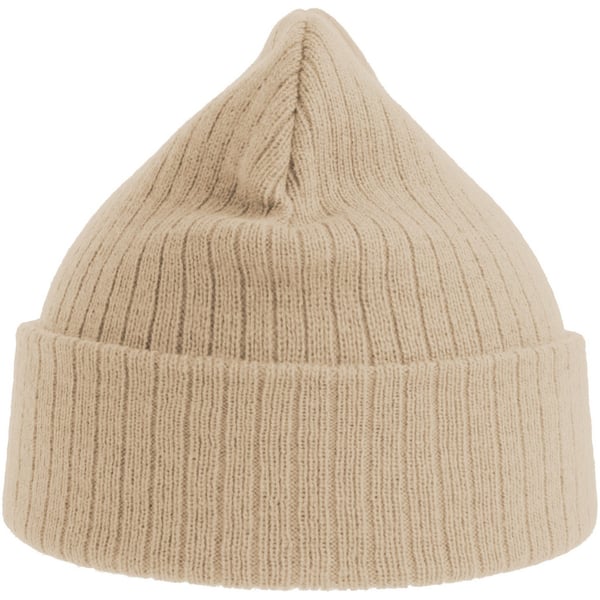 Atlantis Unisex Adult Rio Ribbed Recycled Beanie