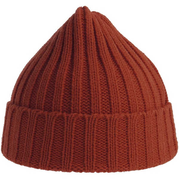 Atlantis Unisex Adult Shore Chunky Recycled Beanie