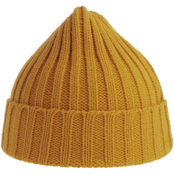Atlantis Unisex Adult Shore Chunky Recycled Beanie
