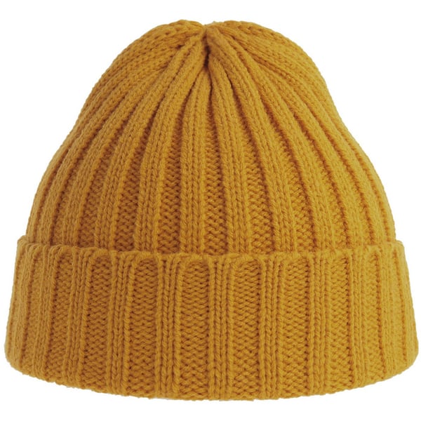 Atlantis Unisex Adult Shore Chunky Recycled Beanie