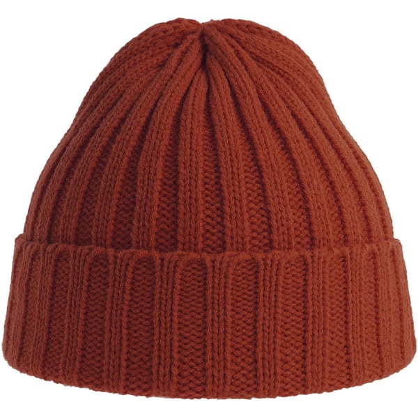 Atlantis Unisex Adult Shore Chunky Recycled Beanie