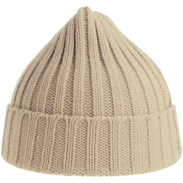 Atlantis Unisex Adult Shore Chunky Recycled Beanie