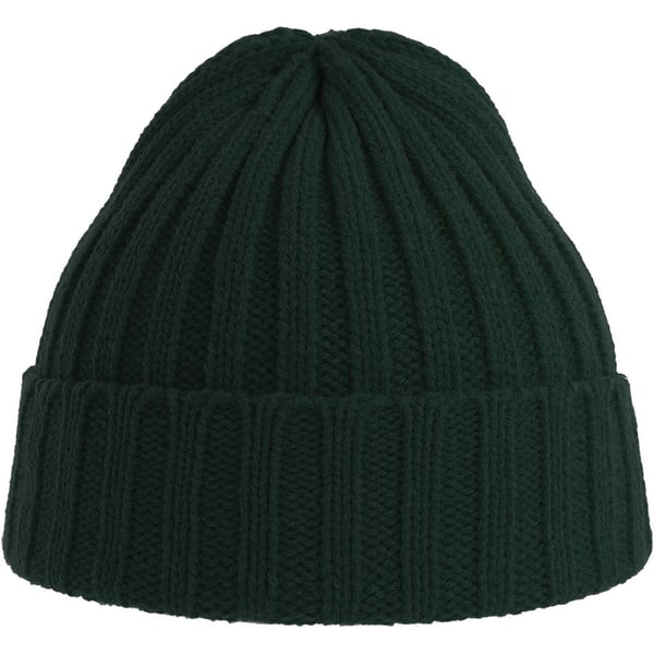 Atlantis Unisex Adult Shore Chunky Recycled Beanie