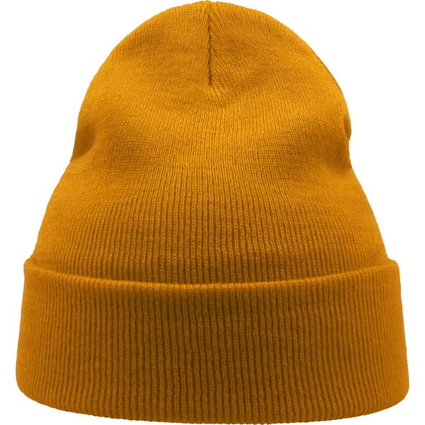 Atlantis Unisex Adult Wind Recycled Cuffed Beanie