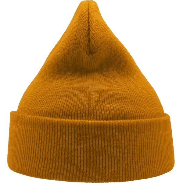 Atlantis Unisex Adult Wind Recycled Cuffed Beanie