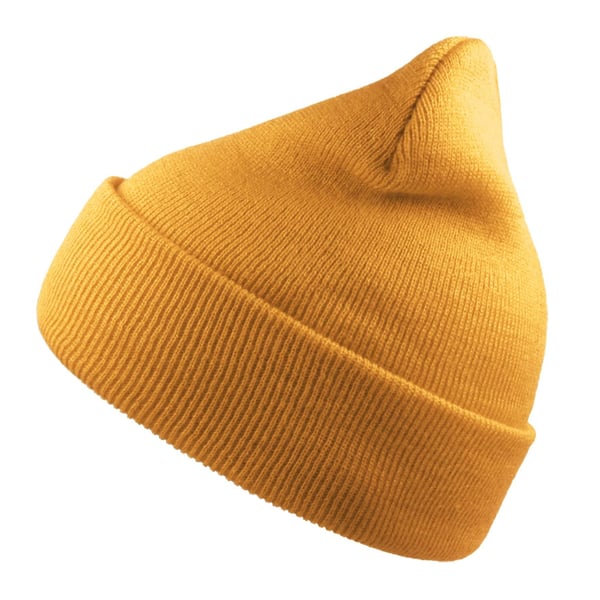 Atlantis Unisex Adult Wind Recycled Cuffed Beanie