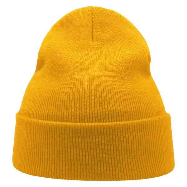 Atlantis Unisex Adult Wind Recycled Cuffed Beanie
