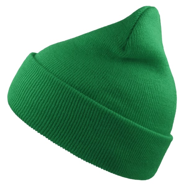 Atlantis Unisex Adult Wind Recycled Cuffed Beanie