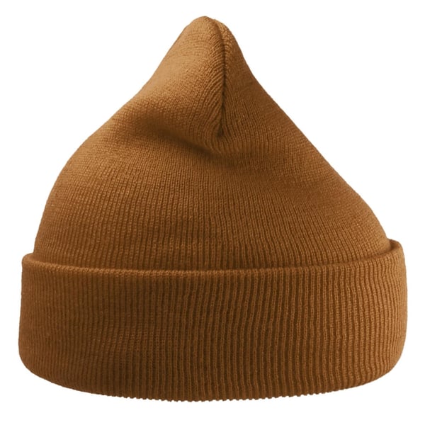 Atlantis Unisex Adult Wind Recycled Cuffed Beanie