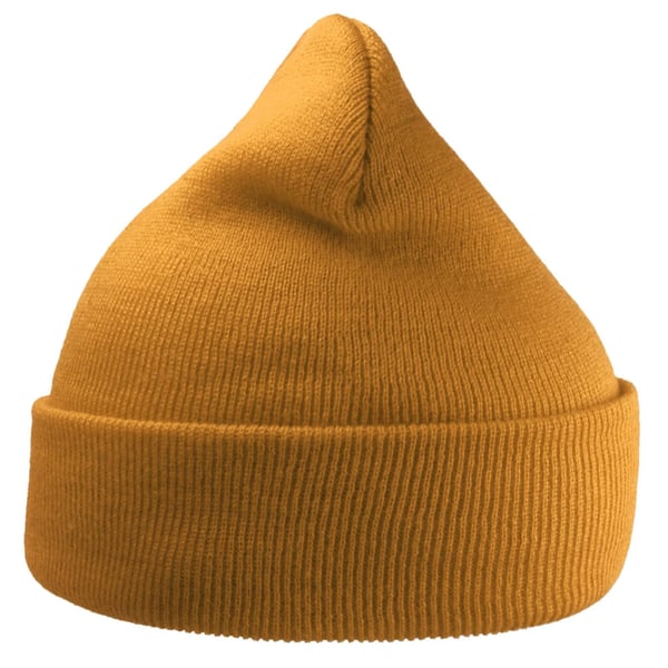Atlantis Unisex Adult Wind Recycled Cuffed Beanie