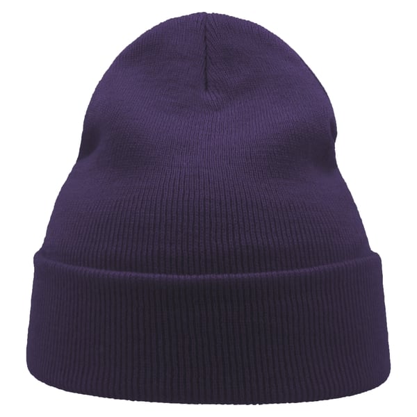 Atlantis Unisex Adult Wind Recycled Cuffed Beanie