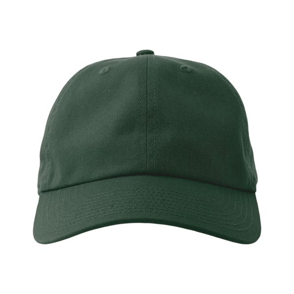 Atlantis Unisex Vuxen Pappa Hållbar 6-panels Baseballkeps
