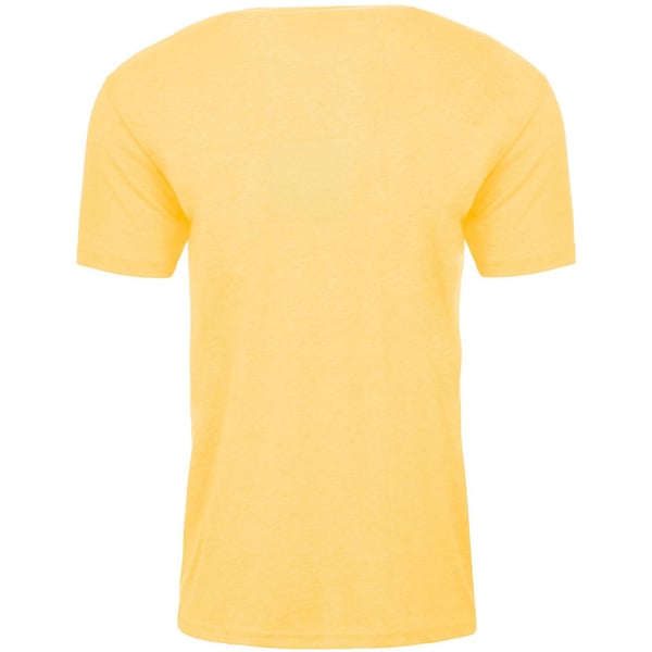 Next Level Apparel Unisex Adult CVC T-Shirt