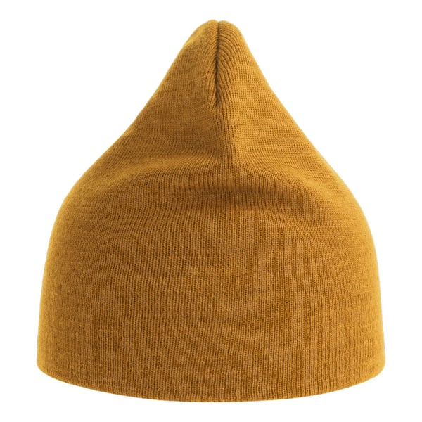 Atlantis Unisex Adult Holly Baseball Cap