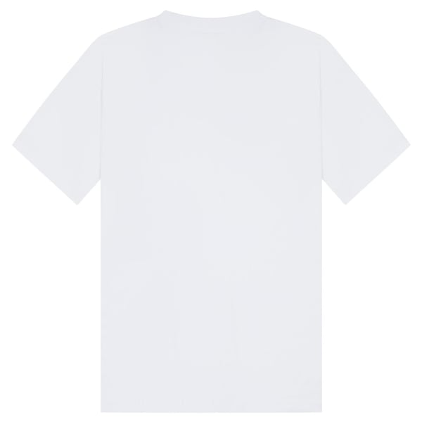 Casual Classics Unisex aikuisten kampapuuvillainen pitkä oversized T-paita