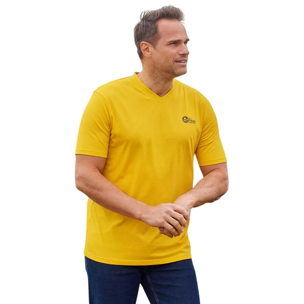 Atlas For Men Mens V Neck T-Shirt (Pack of 3)