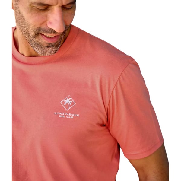 Atlas For Men Mens Summer T-Shirt (Pack of 4)