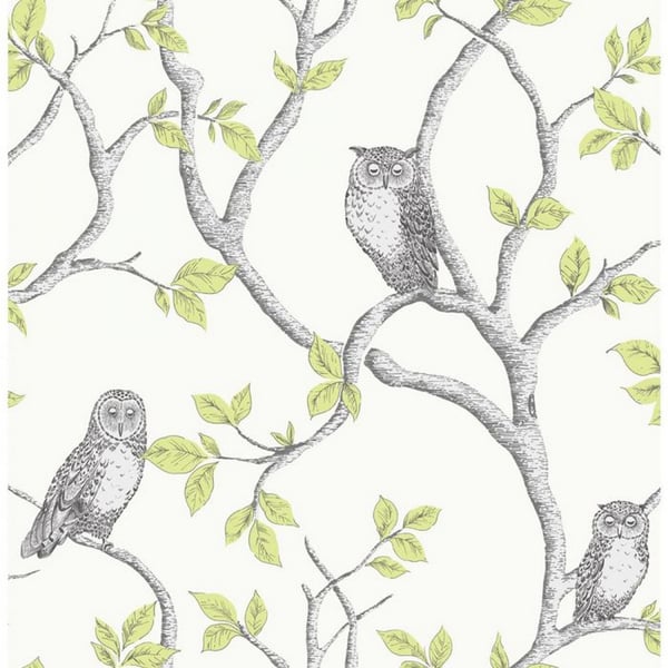 Fine Decor Owl Wallpaper