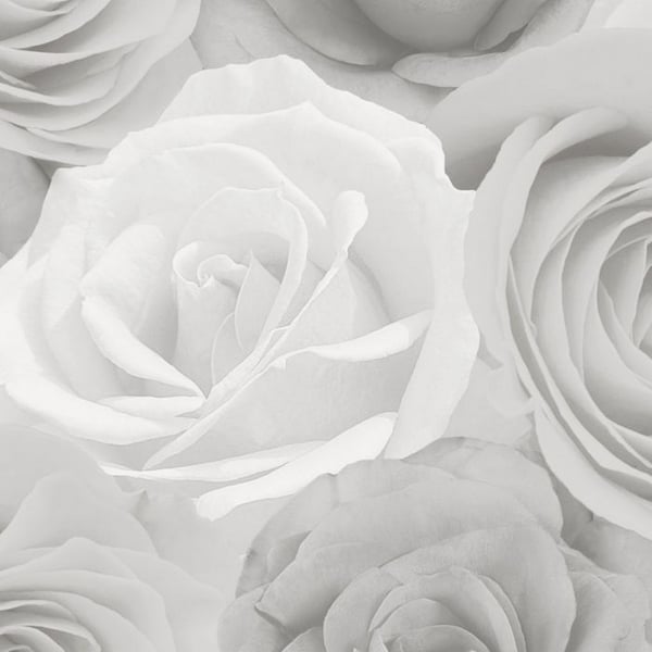 World Of Wallpaper Melany Roses Wallpaper