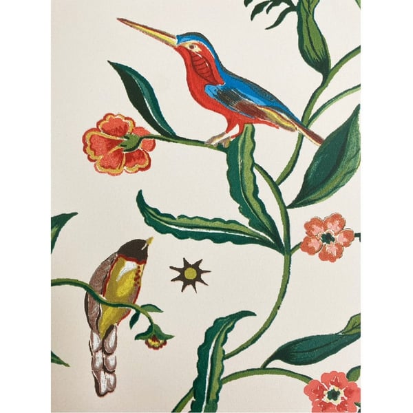 Cath Kidston Fåglar Tapet