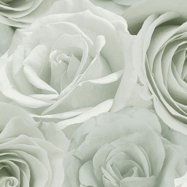 World Of Wallpaper Melany Rose Wallpaper