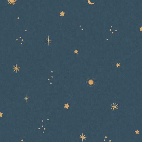 Grandeco Dudley Night Sky Vinyl Textured Wallpaper