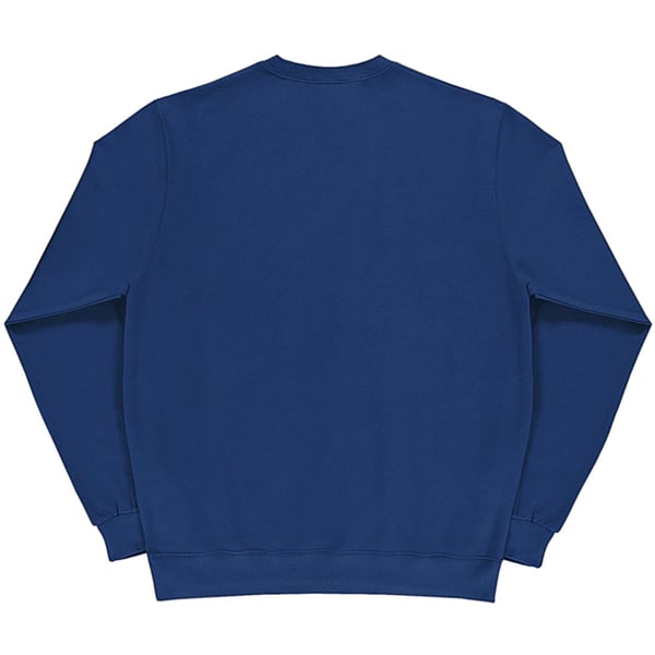 SG Ladies/Womens Crew Neck Long Sleeve Sweatshirt