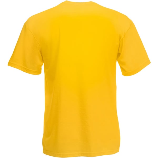 Fruit Of The Loom Mens Valueweight V-Neck, Short Sleeve T-Shirt