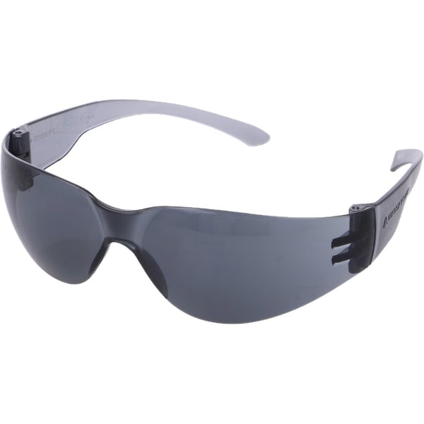 Delta Plus Brava 2 Skyddsglasögon