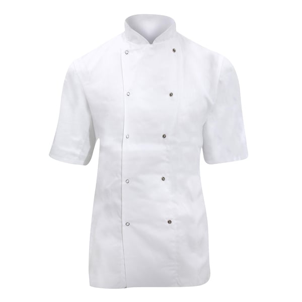 Dennys Womens/Ladies Lightweight Short Sleeve Chefs Jacket / Chefswear (Pack of 2)