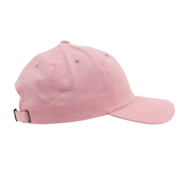 Flexfit Unisex Adult Cotton Twill Low Profile Cap