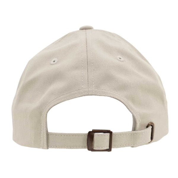 Flexfit Unisex Adult Cotton Twill Low Profile Cap