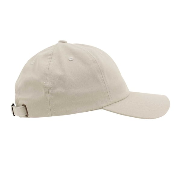 Flexfit Unisex Adult Cotton Twill Low Profile Cap