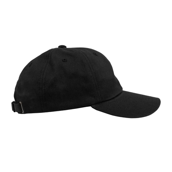 Flexfit Unisex Adult Cotton Twill Low Profile Cap