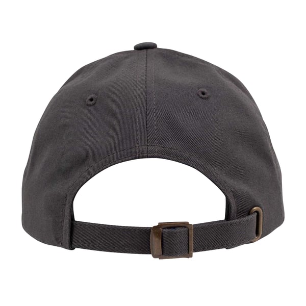 Flexfit Unisex Adult Cotton Twill Low Profile Cap