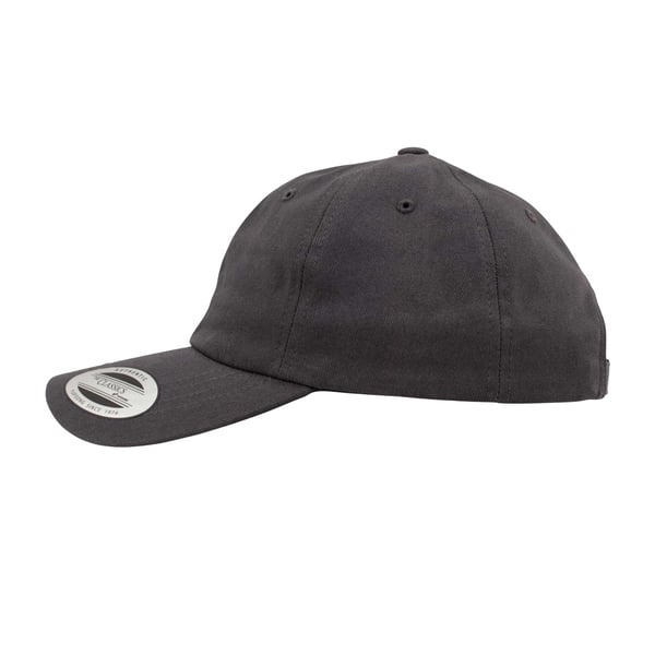 Flexfit Unisex Adult Cotton Twill Low Profile Cap