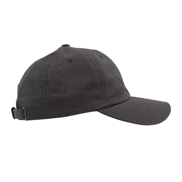 Flexfit Unisex Adult Cotton Twill Low Profile Cap