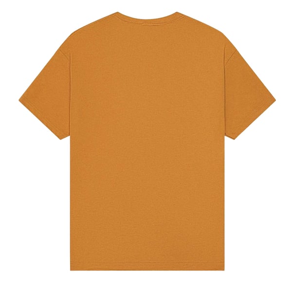 Bella + Canvas Unisex aikuisten raskas Boxy T-paita