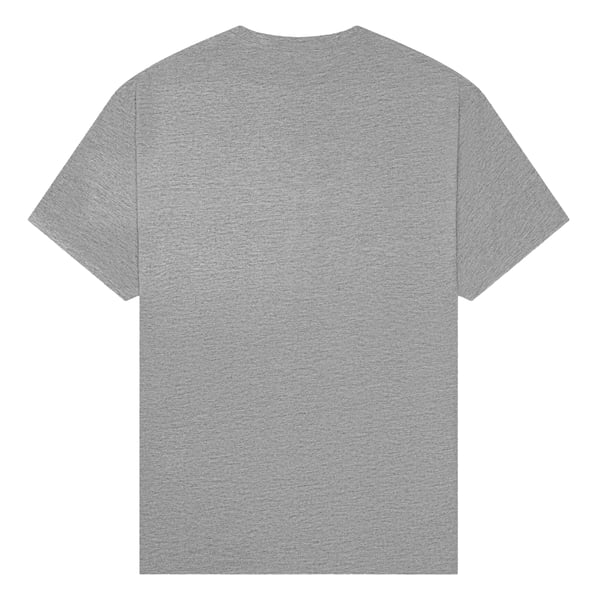 Gildan Childrens/Kids Cotton Lightweight T-Shirt