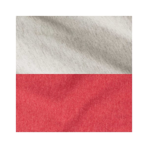 Jerzees Unisex Adult Varsity Colour Block Nublend Hoodie
